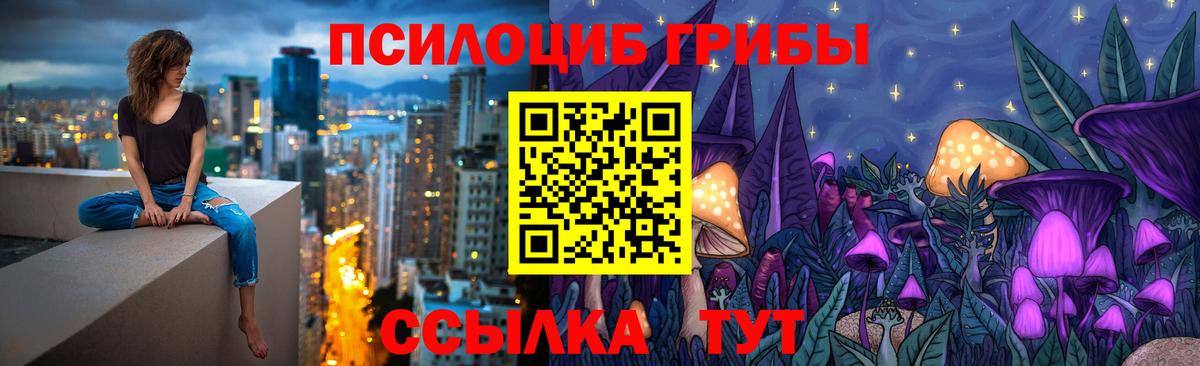 Псилоцибиновые грибы GOLDEN TEACHER Звенигород